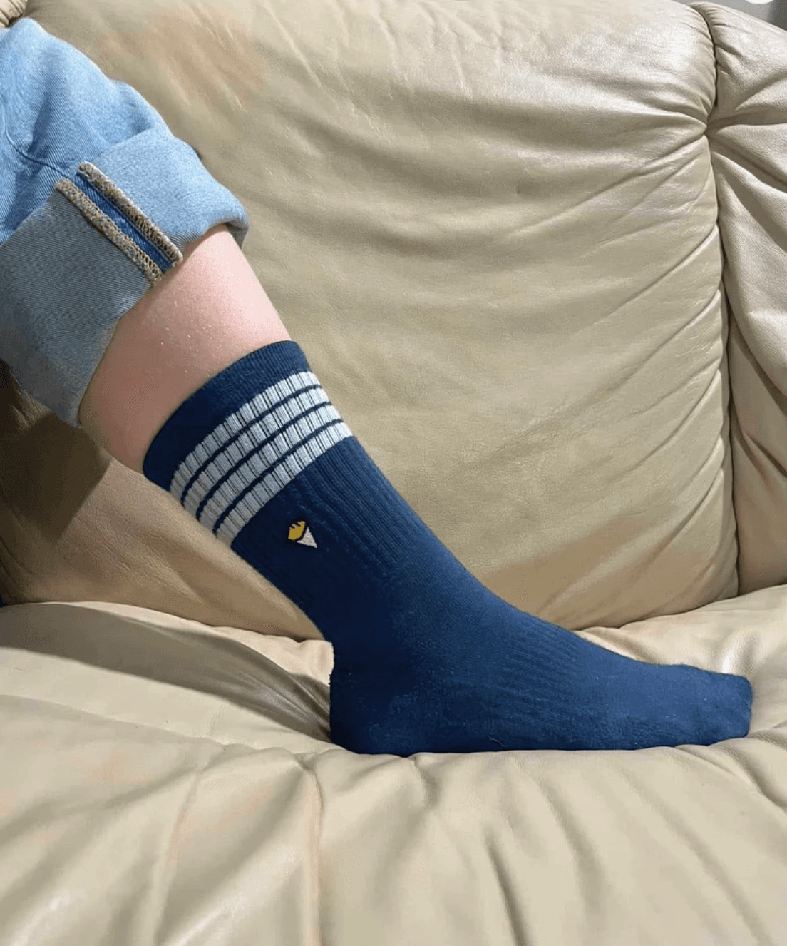 Chaussettes Gastone Bleu marine Bshirt